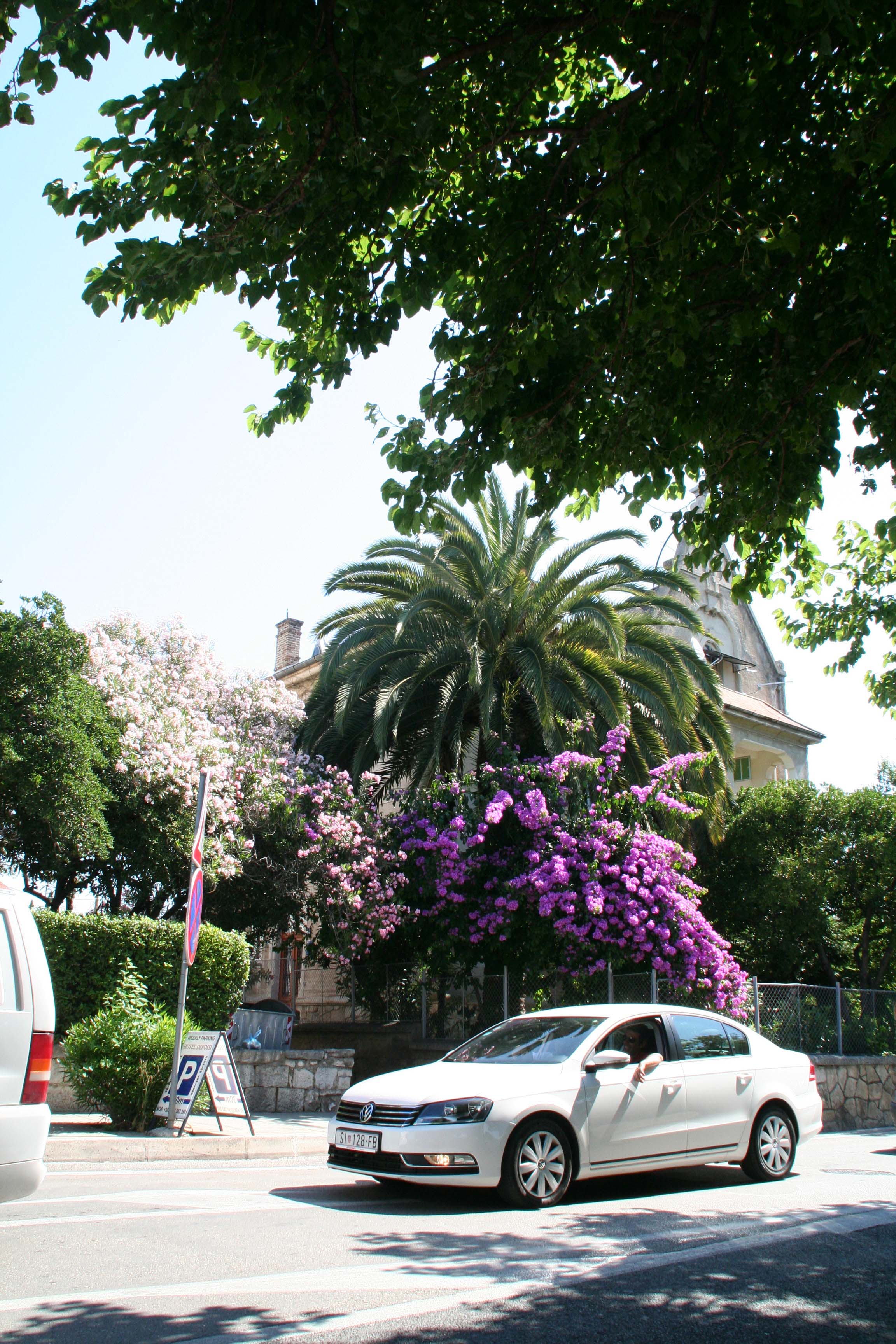 IMG 9815